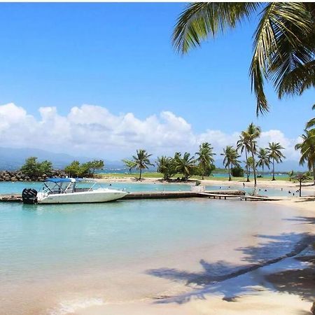Studio Confort Pres Des Plages Le Gosier  Zewnętrze zdjęcie